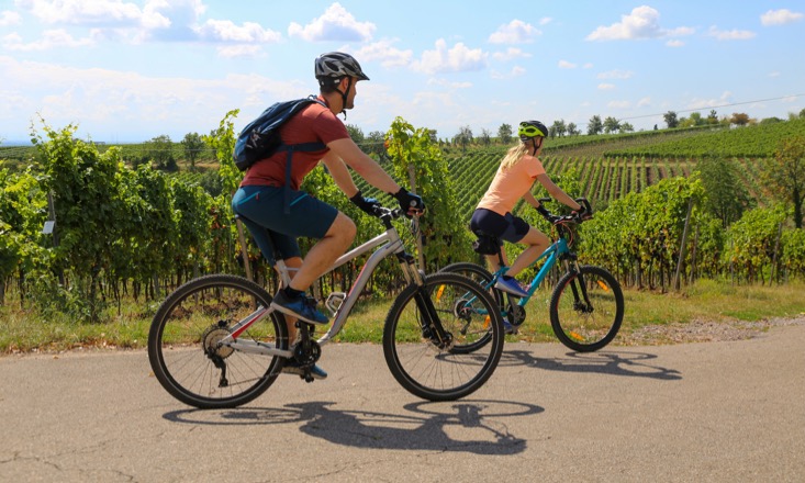 location vélo à Chitenay près de Blois dans le Loir-et-Cher 41